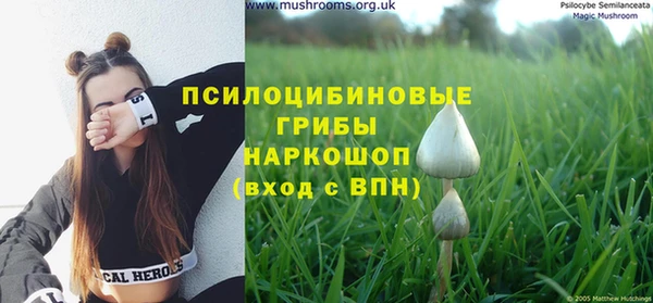 винт Алексеевка